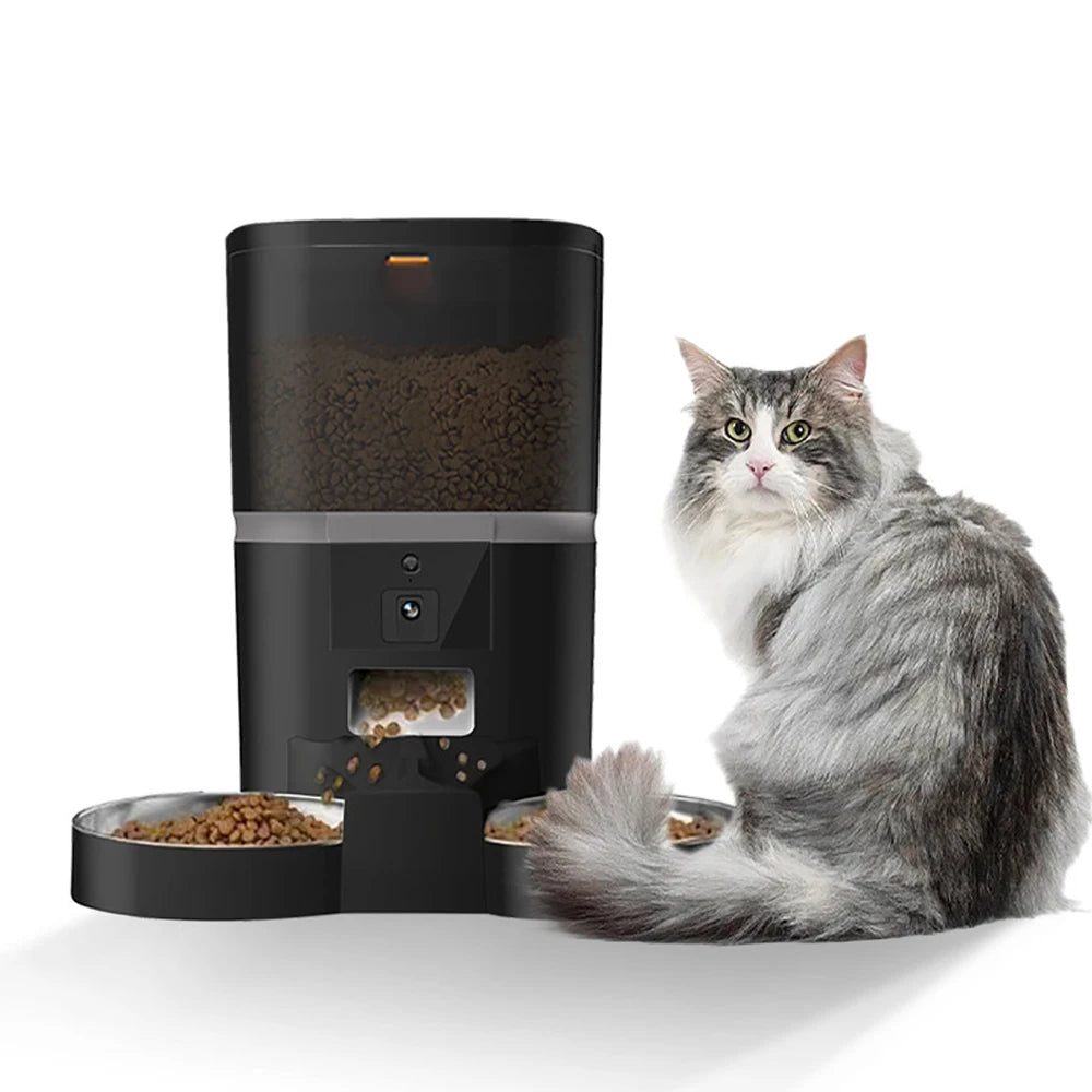 Distributeur Duo Vision Pro avec un chat